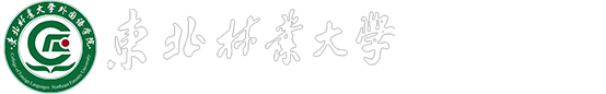 det365官网网站